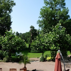 Schlossgarten in Torgau