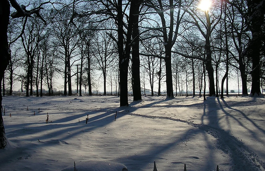 Umgebung im Schnee